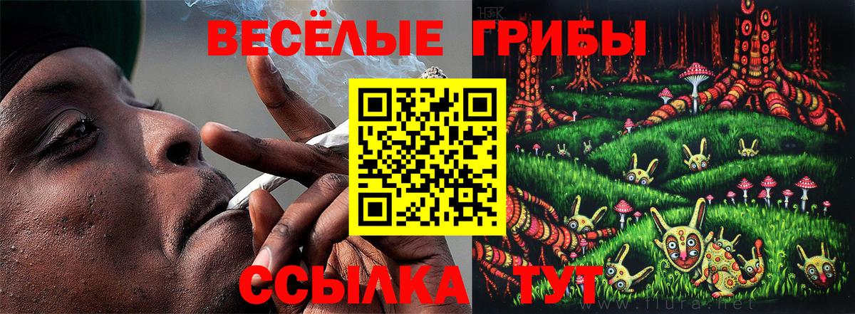 Псилоцибиновые грибы MAGIC MUSHROOMS Людиново