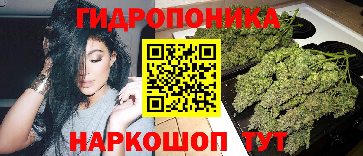 Конопля индика Людиново